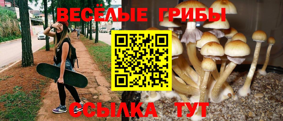 Псилоцибиновые грибы MAGIC MUSHROOMS  Вход с VPN  Чебаркуль 